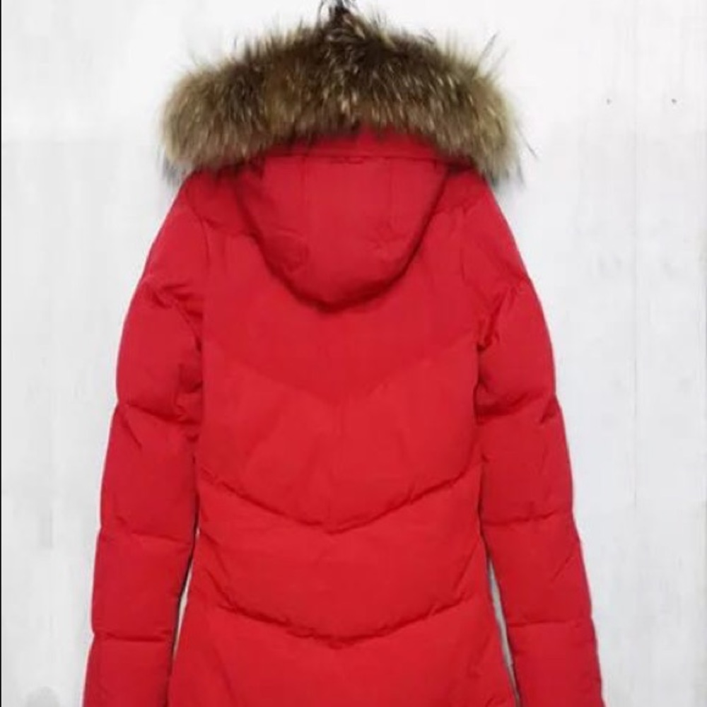 Canada Goose Jacket